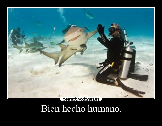 Bien hecho humano. - 