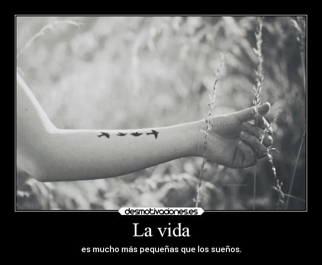La vida - 