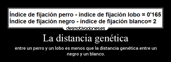 La distancia genética - entre un perro y un lobo es menos que la distancia genética entre un
negro y un blanco.