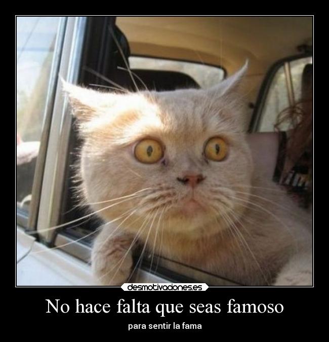 No hace falta que seas famoso - para sentir la fama