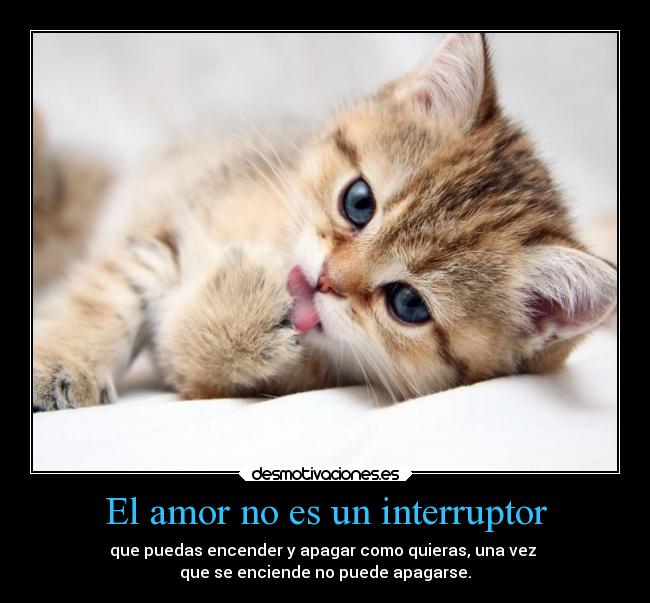 El amor no es un interruptor - que puedas encender y apagar como quieras, una vez 
que se enciende no puede apagarse.