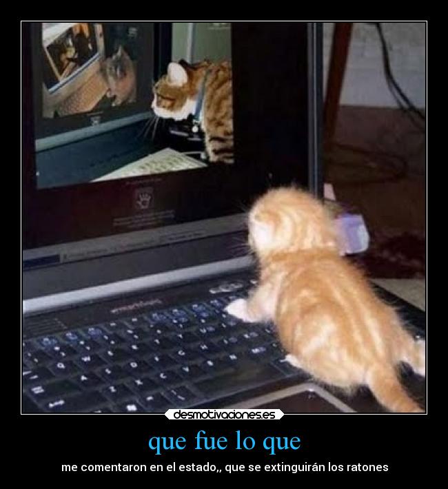 que fue lo que - me comentaron en el estado,, que se extinguirán los ratones