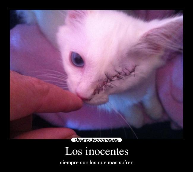 Los inocentes - siempre son los que mas sufren