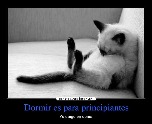 Dormir es para principiantes - 