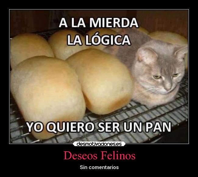 Deseos Felinos -