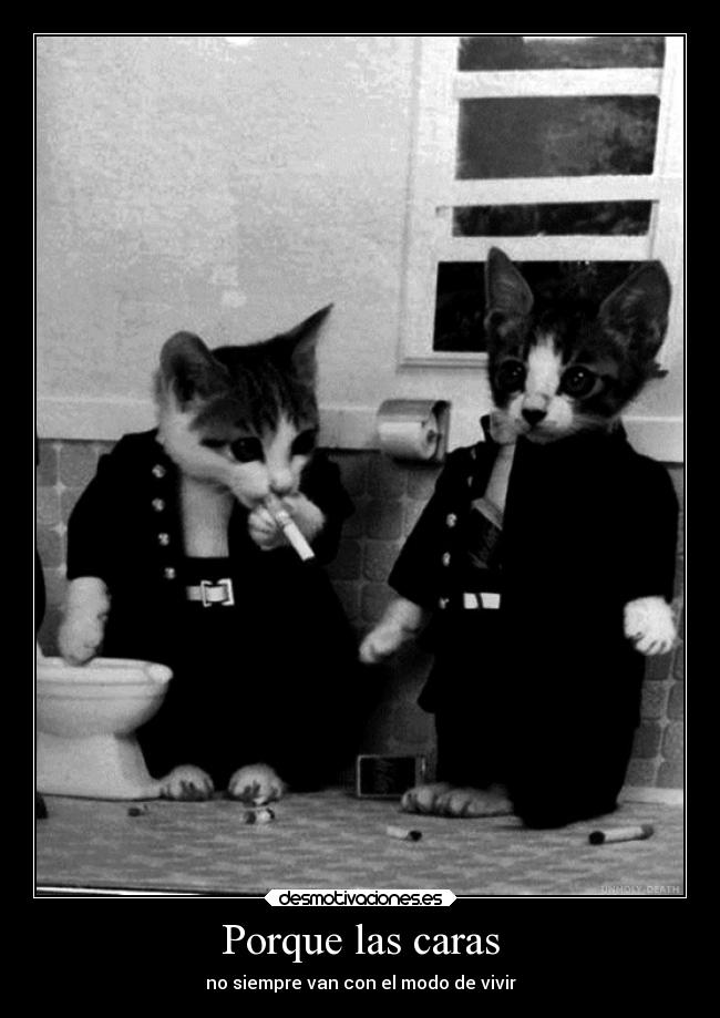 Porque las caras - no siempre van con el modo de vivir
