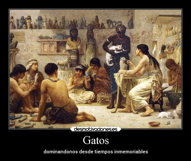 Gatos - dominandonos desde tiempos inmemoriables