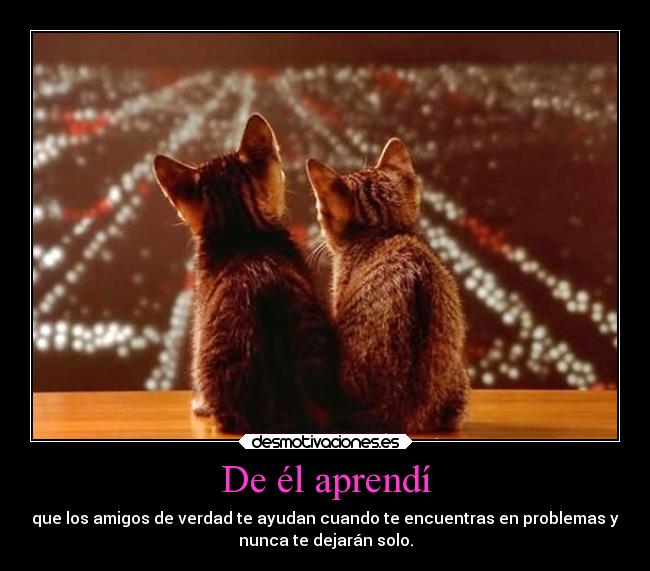 De él aprendí - que los amigos de verdad te ayudan cuando te encuentras en problemas y
nunca te dejarán solo.