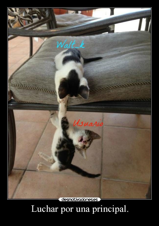Luchar por una principal. -
