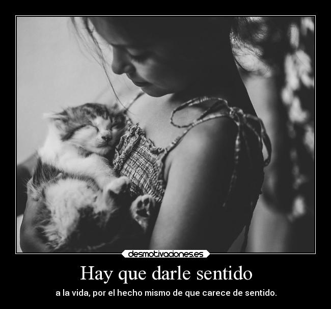 Hay que darle sentido -