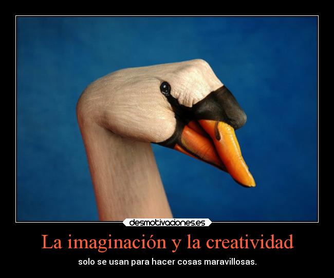 La imaginación y la creatividad - 