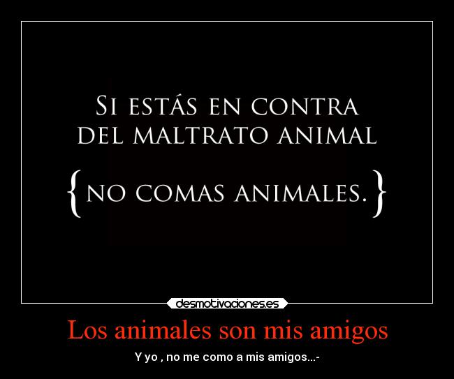 Los animales son mis amigos -