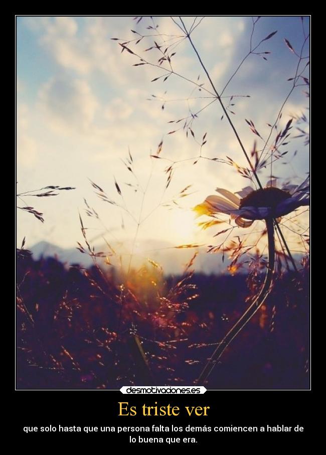 Es triste ver - que solo hasta que una persona falta los demás comiencen a hablar de
lo buena que era.