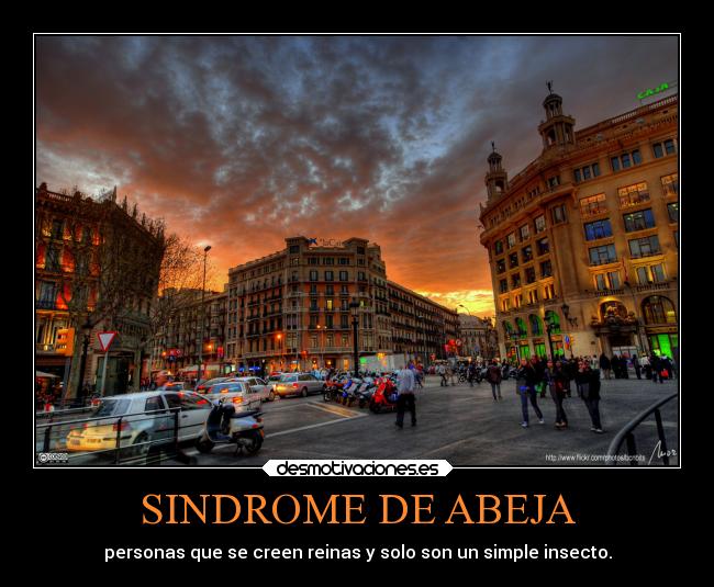 SINDROME DE ABEJA - 