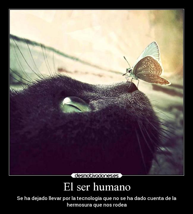 El ser humano - Se ha dejado llevar por la tecnología que no se ha dado cuenta de la
hermosura que nos rodea