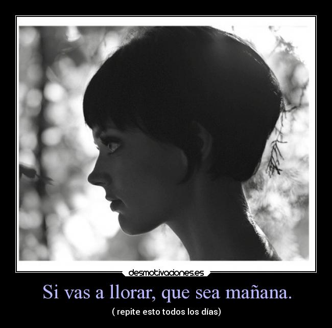 carteles llorar llores fuerte desmotivaciones