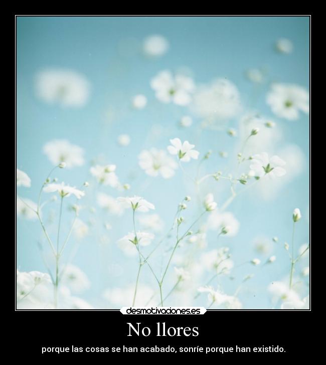 No llores - porque las cosas se han acabado, sonríe porque han existido.