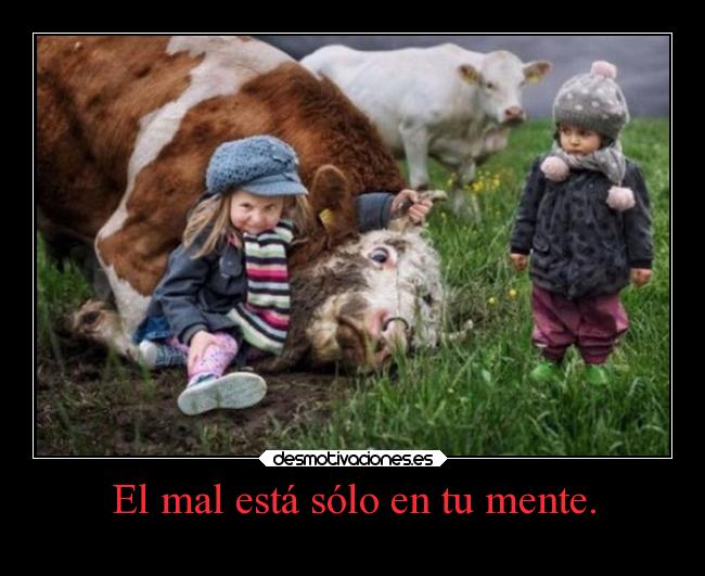 carteles enfados desmotivaciones