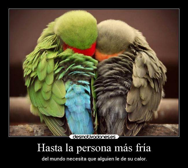 Hasta la persona más fría - del mundo necesita que alguien le de su calor.