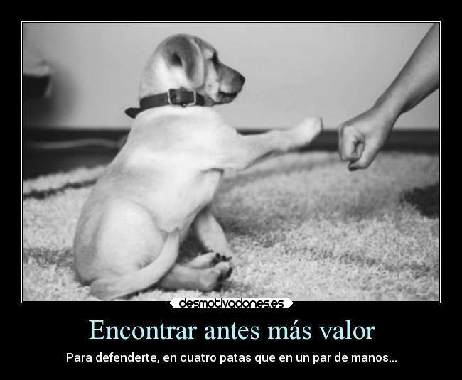 Encontrar antes más valor - Para defenderte, en cuatro patas que en un par de manos...
