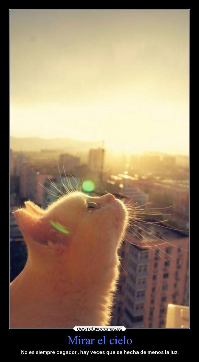 Mirar el cielo -
