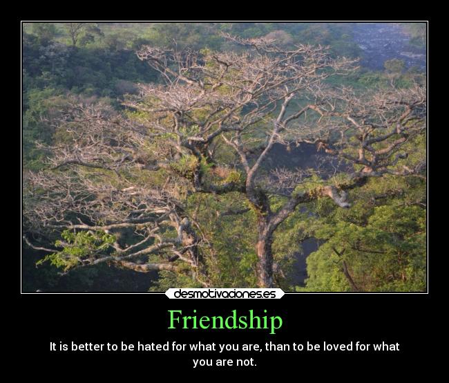 carteles cartel habla que amistad desmotivaciones