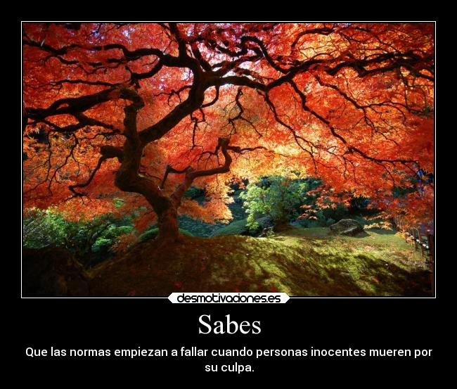 Sabes - Que las normas empiezan a fallar cuando personas inocentes mueren por
su culpa.
