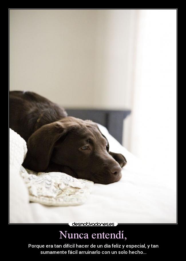 Nunca entendí, -