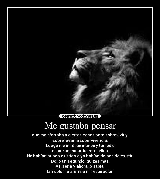 Me gustaba pensar - que me aferraba a ciertas cosas para sobrevivir y 
sobrellevar la supervivencia.
Luego me miré las manos y tan sólo
el aire se escurría entre ellas.
No habían nunca existido o ya habían dejado de existir.
Dolió un segundo, quizás más.
Así sería y ahora lo sabía.
Tan sólo me aferré a mi respiración.