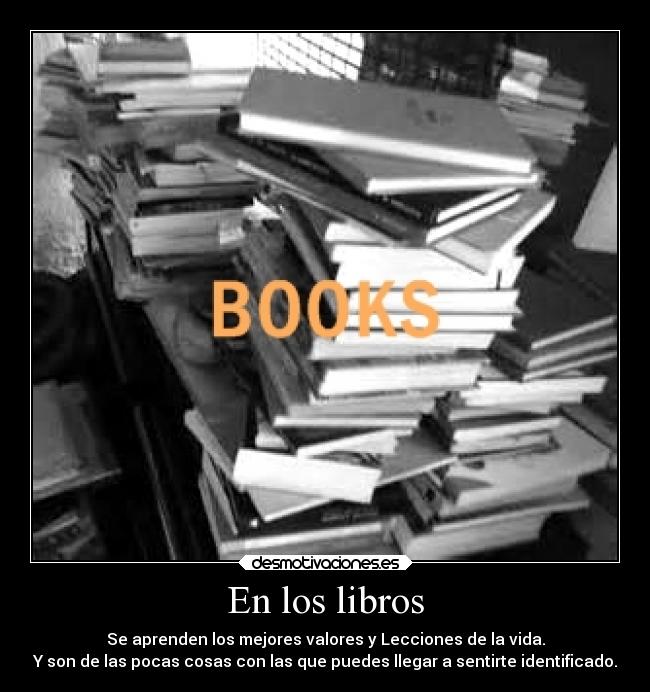 En los libros - Se aprenden los mejores valores y Lecciones de la vida.
Y son de las pocas cosas con las que puedes llegar a sentirte identificado.