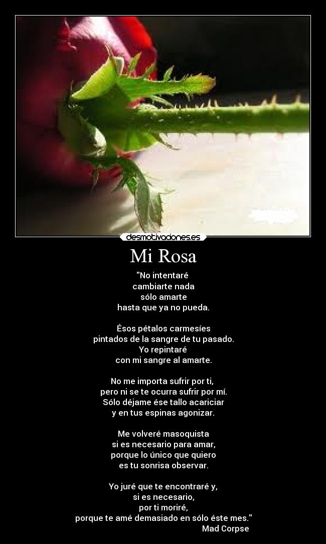 Mi Rosa - No intentaré
cambiarte nada
sólo amarte
hasta que ya no pueda.
Ésos pétalos carmesíes
pintados de la sangre de tu pasado.
Yo repintaré
con mi sangre al amarte.
No me importa sufrir por ti,
pero ni se te ocurra sufrir por mí.
Sólo déjame ése tallo acariciar
y en tus espinas agonizar.
Me volveré masoquista
si es necesario para amar,
porque lo único que quiero
es tu sonrisa observar.
Yo juré que te encontraré y,
si es necesario,
por ti moriré,
porque te amé demasiado en sólo éste mes.
Mad Corpse