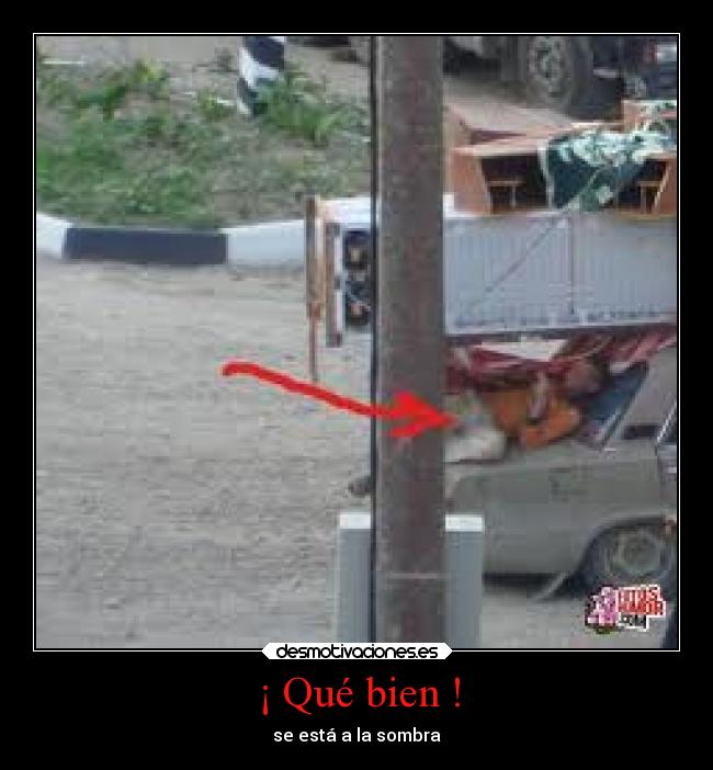 ¡ Qué bien ! - se está a la sombra