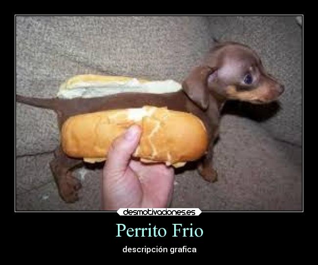 carteles animales perros salchichas panes frio crudo don donal granja ooo humor gato desmotivaciones