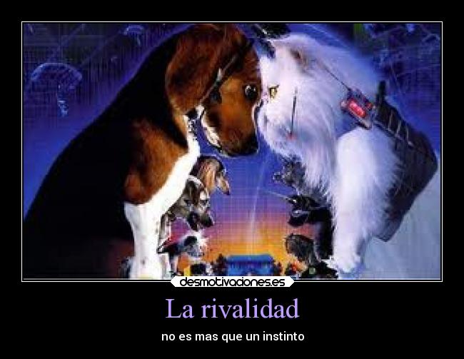 La rivalidad - no es mas que un instinto