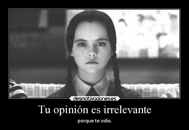 Tu opinión es irrelevante - porque te odio.