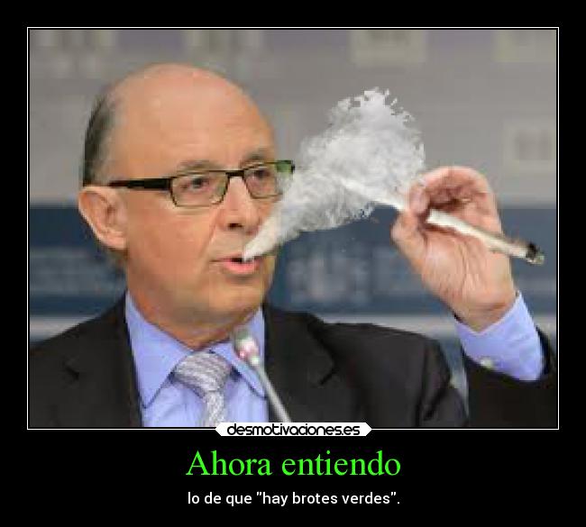 carteles montoro smoke weed every day sonap desmotivaciones