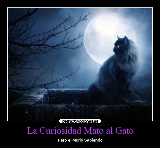 La Curiosidad Mato al Gato - Pero el Murió Sabiendo