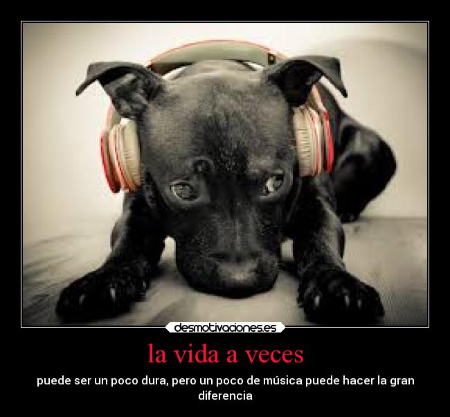 la vida a veces - puede ser un poco dura, pero un poco de música puede hacer la gran
diferencia
