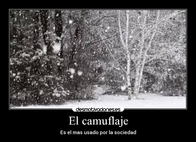 El camuflaje -
