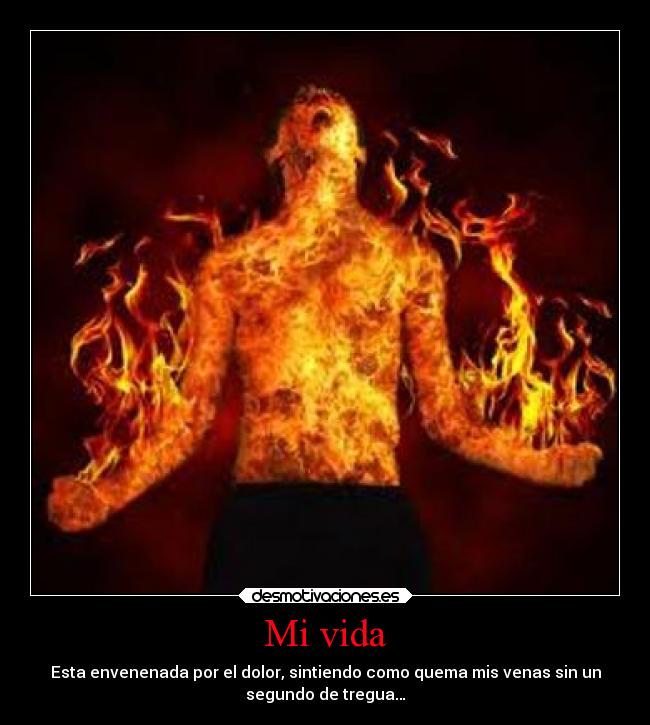 Mi vida - Esta envenenada por el dolor, sintiendo como quema mis venas sin un
segundo de tregua…