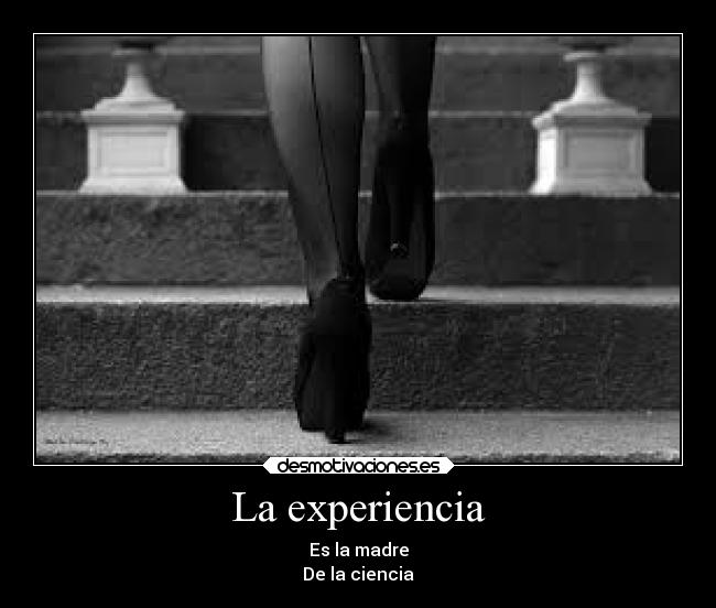 La experiencia - 