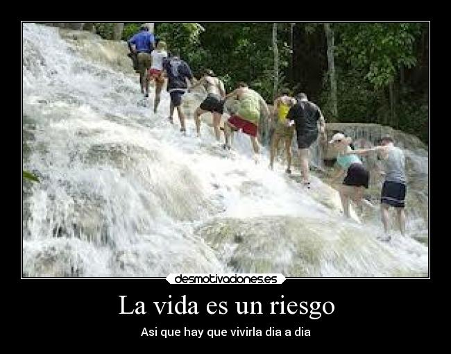 carteles vida como interpreten desmotivaciones