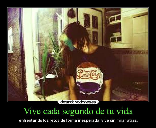 carteles vida vivir vida desmotivaciones