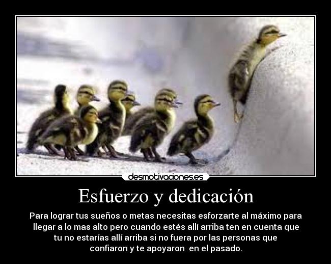 Esfuerzo y dedicación - Para lograr tus sueños o metas necesitas esforzarte al máximo para
llegar a lo mas alto pero cuando estés allí arriba ten en cuenta que
tu no estarías allí arriba si no fuera por las personas que
confiaron y te apoyaron  en el pasado.