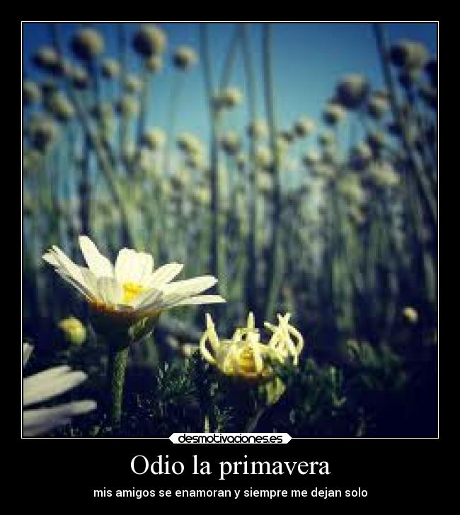 carteles odio ausencia desmotivaciones tristeza desmotivaciones