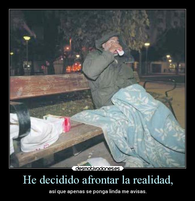 He decidido afrontar la realidad, -