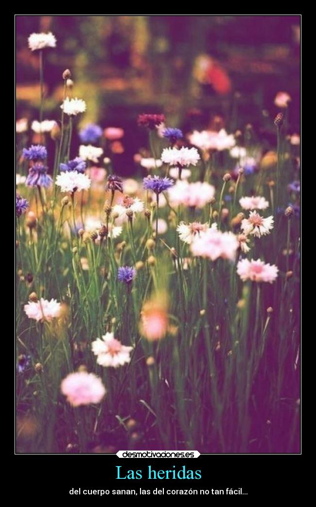 Las heridas - del cuerpo sanan, las del corazón no tan fácil...