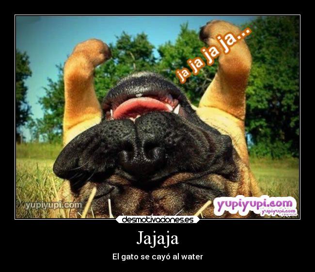 Jajaja - El gato se cayó al water