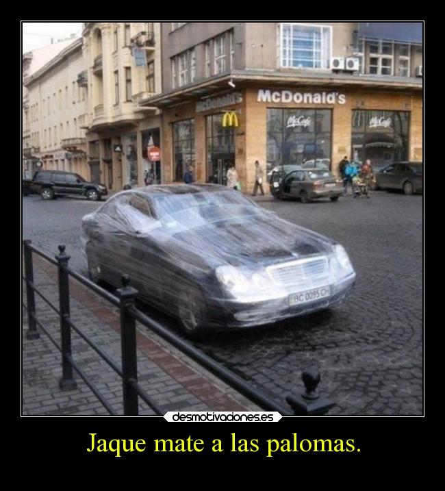 carteles palomas tomar por culo desmotivaciones