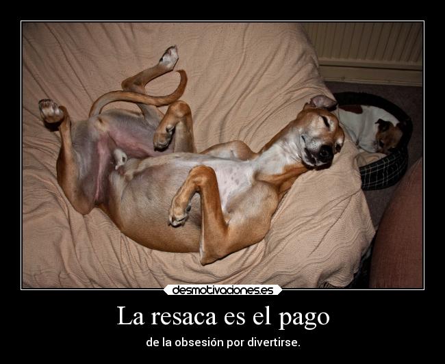 La resaca es el pago -